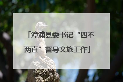 漳浦县委书记“四不两直”督导文旅工作