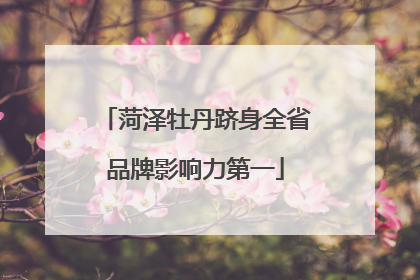 菏泽牡丹跻身全省品牌影响力第一