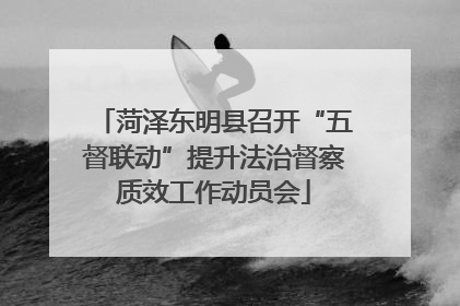 菏泽东明县召开“五督联动”提升法治督察质效工作动员会