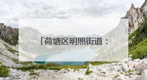 荷塘区明照街道：“撂荒地”变“爱心菜园” 志愿者携手种下“增收希望”