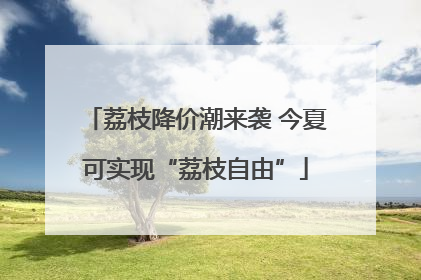荔枝降价潮来袭 今夏可实现“荔枝自由”