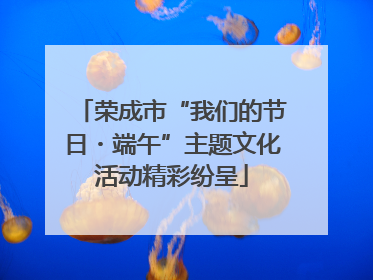 荣成市“我们的节日・端午”主题文化活动精彩纷呈