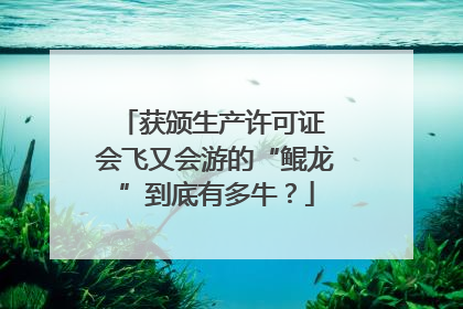 获颁生产许可证 会飞又会游的“鲲龙”到底有多牛？