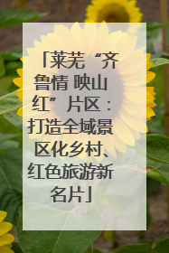 莱芜“齐鲁情 映山红”片区：打造全域景区化乡村、红色旅游新名片