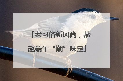 老习俗新风尚，燕赵端午“潮”味足