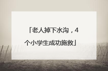 老人掉下水沟，4个小学生成功施救