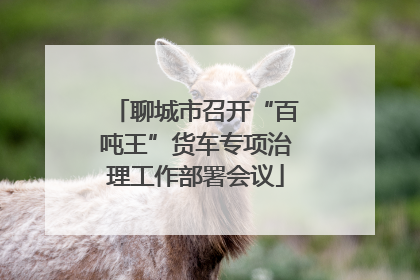 聊城市召开“百吨王”货车专项治理工作部署会议