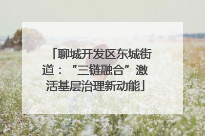 聊城开发区东城街道：“三链融合”激活基层治理新动能