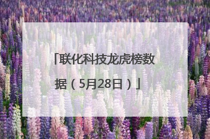 联化科技龙虎榜数据（5月28日）