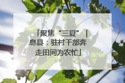 聚焦“三夏”｜息县：驻村干部奔走田间为农忙