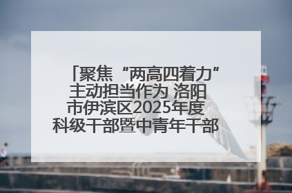 聚焦“两高四着力” 主动担当作为 洛阳市伊滨区2025年度科级干部暨中青年干部培训班开班