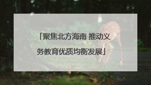 聚焦北方海南 推动义务教育优质均衡发展