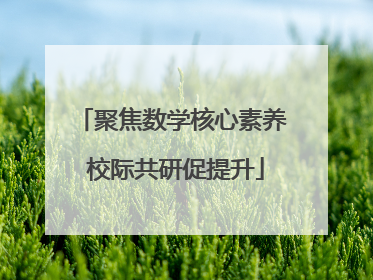 聚焦数学核心素养 校际共研促提升