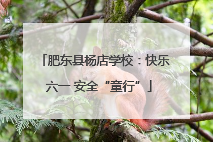 肥东县杨店学校：快乐六一 安全“童行”
