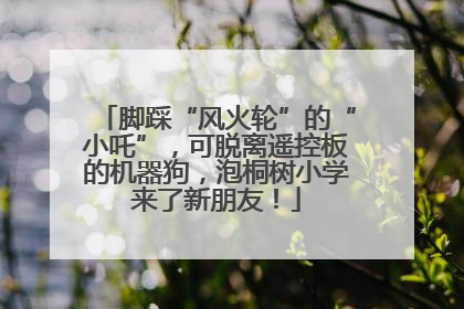 脚踩“风火轮”的“小吒”，可脱离遥控板的机器狗，泡桐树小学来了新朋友！