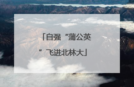 自强“蒲公英”飞进北林大