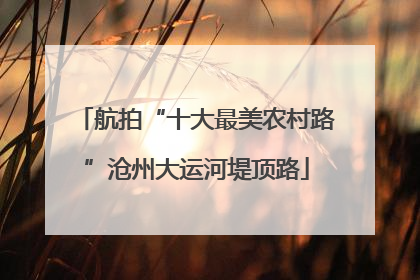 航拍“十大最美农村路”沧州大运河堤顶路