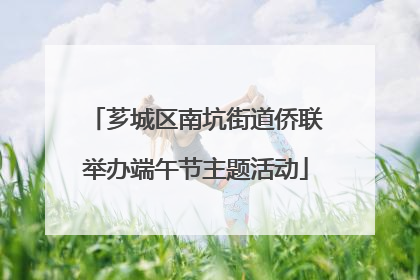 芗城区南坑街道侨联举办端午节主题活动