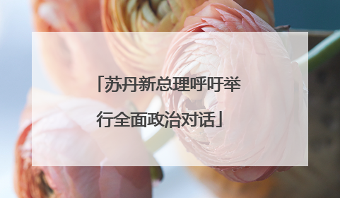 苏丹新总理呼吁举行全面政治对话