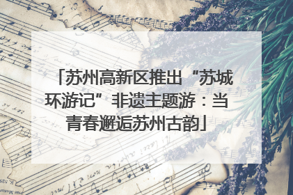 苏州高新区推出“苏城环游记”非遗主题游：当青春邂逅苏州古韵