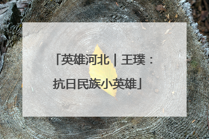 英雄河北｜王璞：抗日民族小英雄