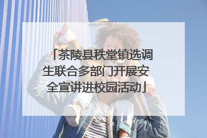 茶陵县秩堂镇选调生联合多部门开展安全宣讲进校园活动
