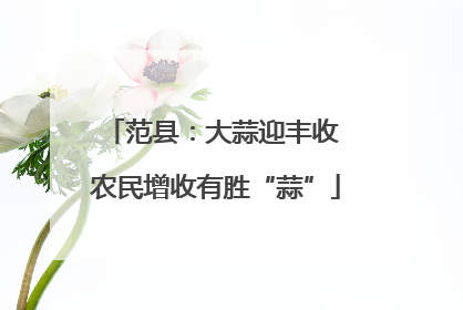 范县：大蒜迎丰收 农民增收有胜“蒜”