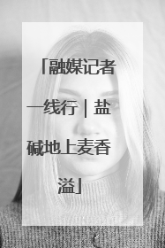 融媒记者一线行｜盐碱地上麦香溢
