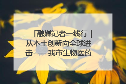 融媒记者一线行｜从本土创新向全球进击——我市生物医药产业破茧突围