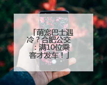 萌宠巴士遇冷？合肥公交：满10位乘客才发车！
