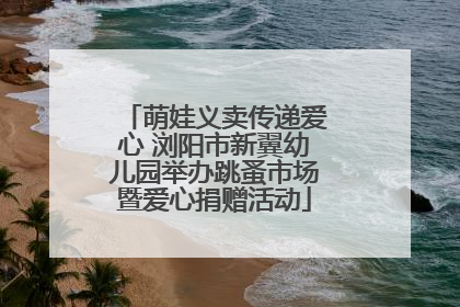 萌娃义卖传递爱心 浏阳市新翼幼儿园举办跳蚤市场暨爱心捐赠活动