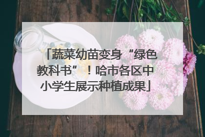 蔬菜幼苗变身“绿色教科书”！哈市各区中小学生展示种植成果
