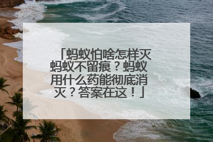 蚂蚁怕啥怎样灭蚂蚁不留痕？蚂蚁用什么药能彻底消灭？答案在这！
