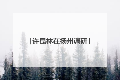 许昆林在扬州调研