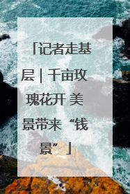 记者走基层｜千亩玫瑰花开 美景带来“钱景”