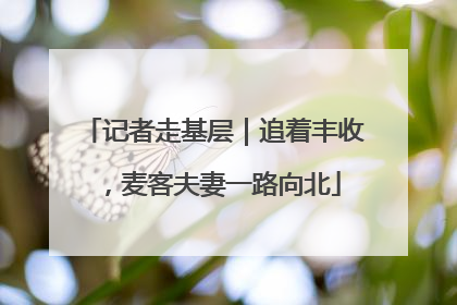 记者走基层｜追着丰收，麦客夫妻一路向北