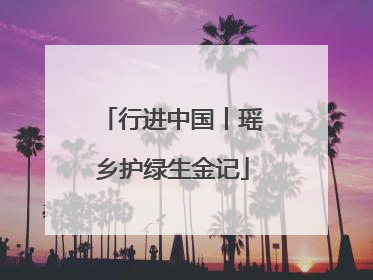行进中国丨瑶乡护绿生金记