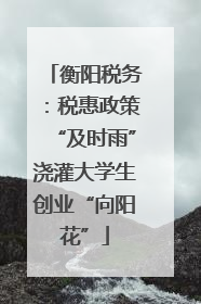 衡阳税务：税惠政策“及时雨”浇灌大学生创业“向阳花”