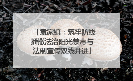 袁家镇：筑牢防线播撒法治阳光禁毒与法制宣传双线并进