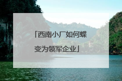 西南小厂如何蝶变为领军企业