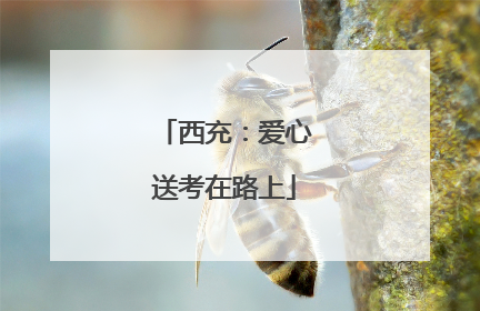 西充：爱心送考在路上
