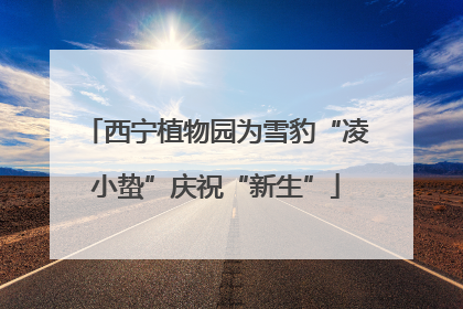 西宁植物园为雪豹“凌小蛰”庆祝“新生”