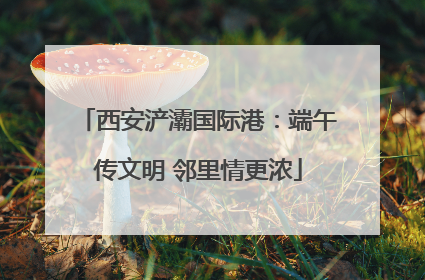 西安浐灞国际港：端午传文明 邻里情更浓