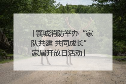 襄城消防举办“家队共建 共同成长”家属开放日活动
