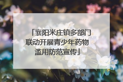 襄阳米庄镇多部门联动开展青少年药物滥用防范宣传