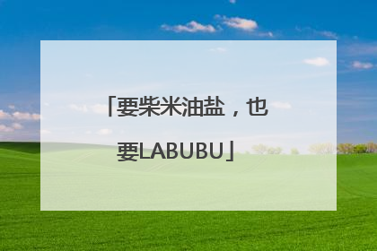要柴米油盐，也要LABUBU