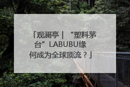 观澜亭｜“塑料茅台”LABUBU缘何成为全球顶流？