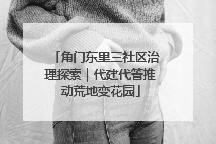 角门东里三社区治理探索｜代建代管推动荒地变花园
