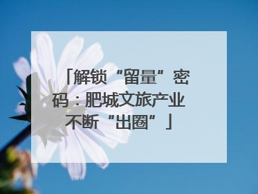 解锁“留量”密码：肥城文旅产业不断“出圈”