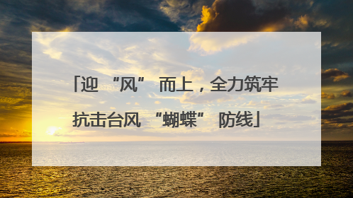 迎 “风” 而上，全力筑牢抗击台风 “蝴蝶” 防线